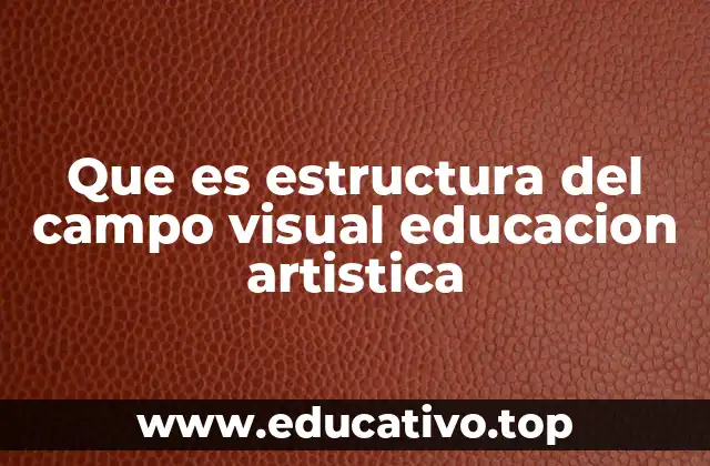 Que es estructura del campo visual educacion artistica