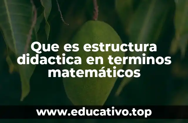 Que es estructura didactica en terminos matemáticos