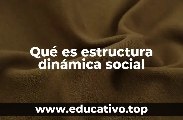 Qué es estructura dinámica social