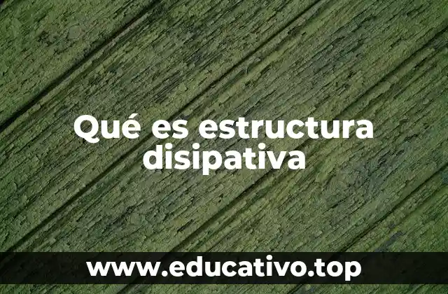 Qué es estructura disipativa