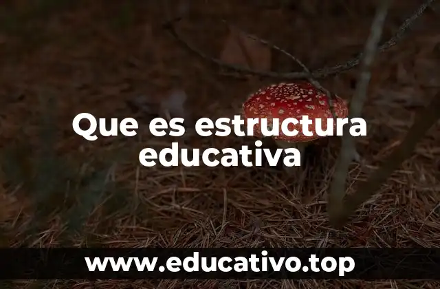 Que es estructura educativa