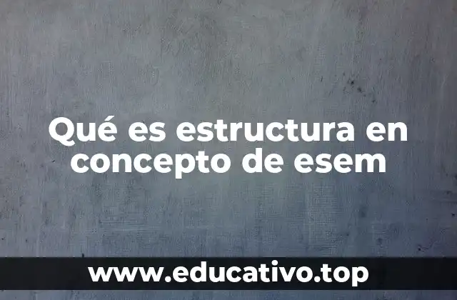 Qué es estructura en concepto de esem