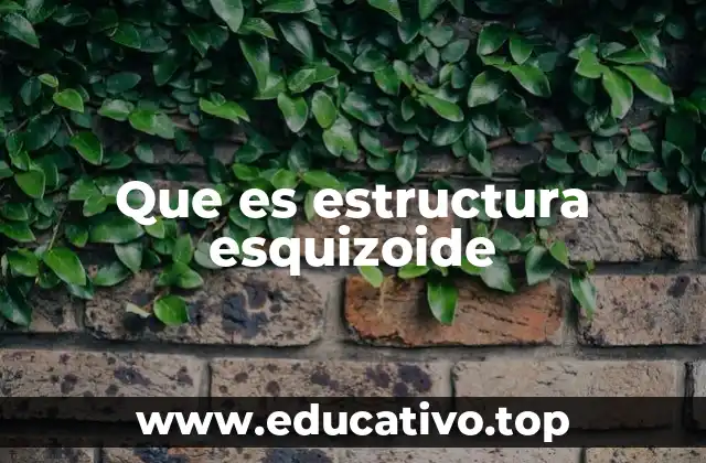 Que es estructura esquizoide