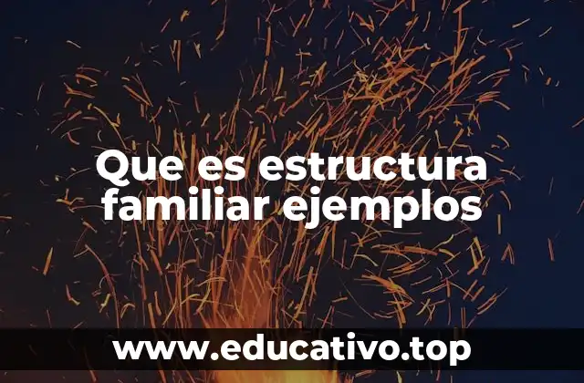 Que es estructura familiar ejemplos