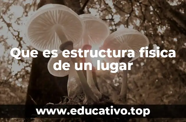 Que es estructura fisica de un lugar