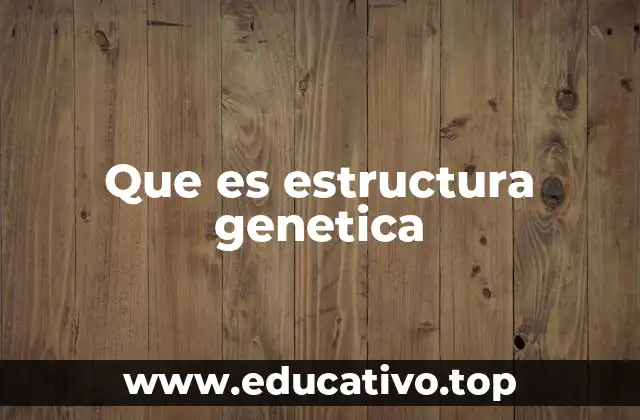 Que es estructura genetica