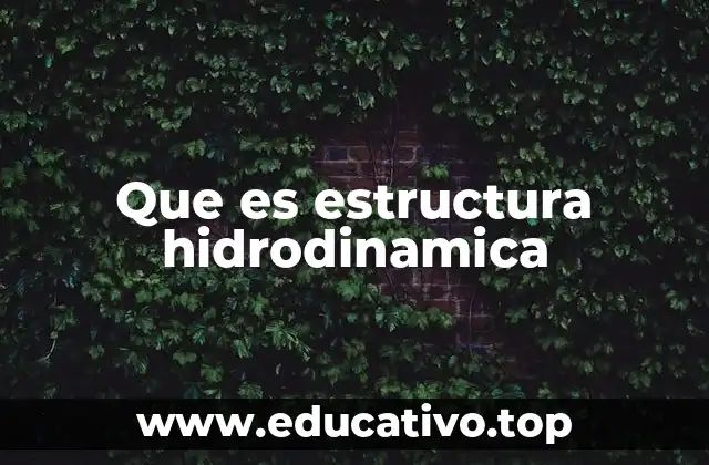 Que es estructura hidrodinamica