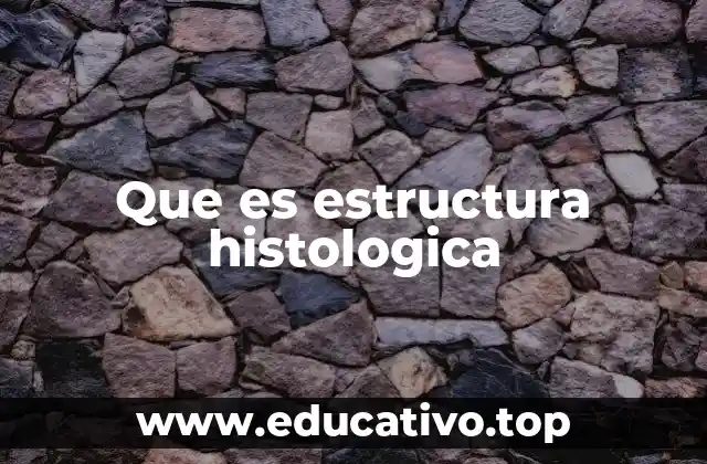 Que es estructura histologica