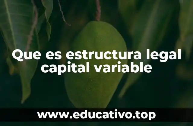 Que es estructura legal capital variable