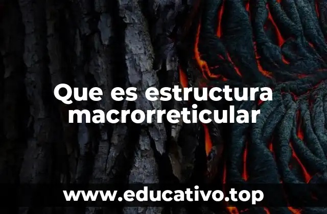 Que es estructura macrorreticular