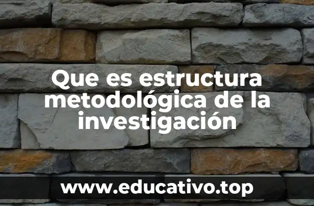 La importancia de una estructura clara en el proceso investigativo