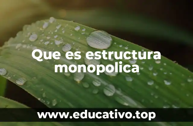 Que es estructura monopolica