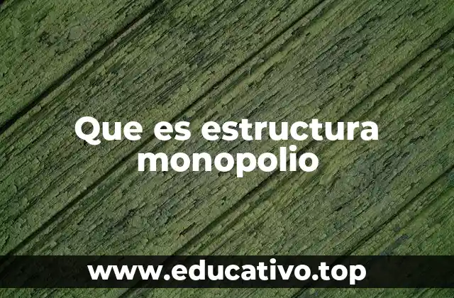 Que es estructura monopolio
