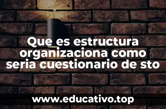Que es estructura organizaciona como seria cuestionario de sto