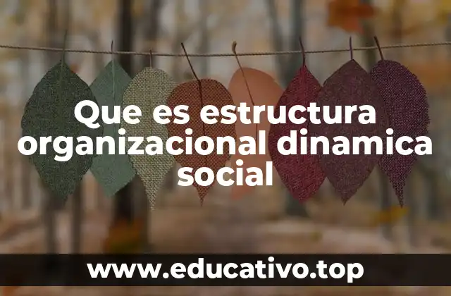 Que es estructura organizacional dinamica social