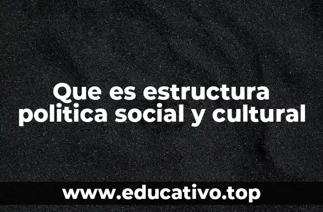 Que es estructura politica social y cultural