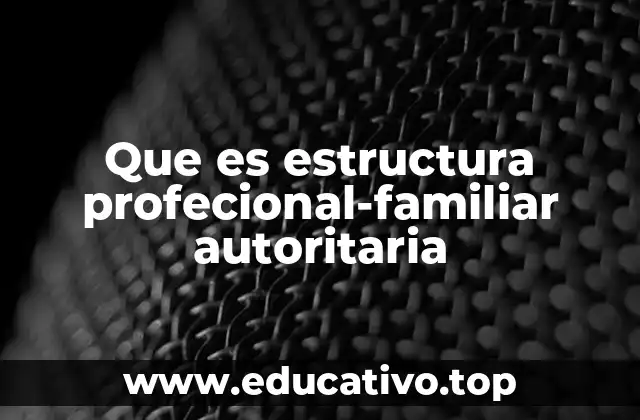 Que es estructura profecional-familiar autoritaria