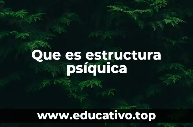Que es estructura psíquica