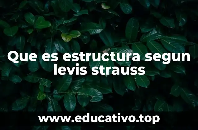 Que es estructura segun levis strauss