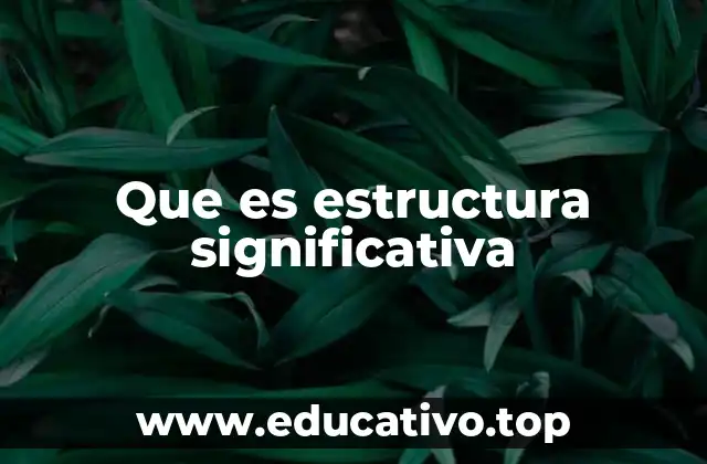 Que es estructura significativa