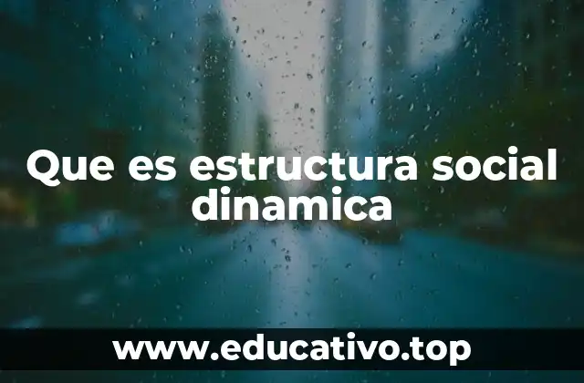 Que es estructura social dinamica