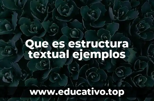 La organización del contenido en la comunicación escrita