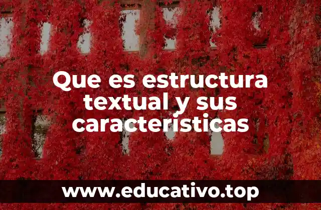 Que es estructura textual y sus caracteristicas