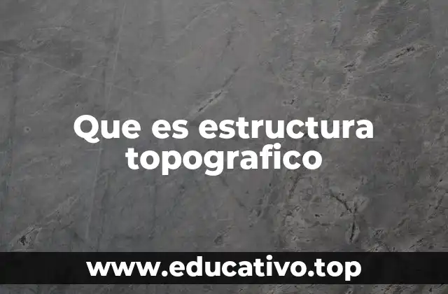 Que es estructura topografico