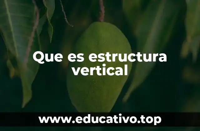 Que es estructura vertical
