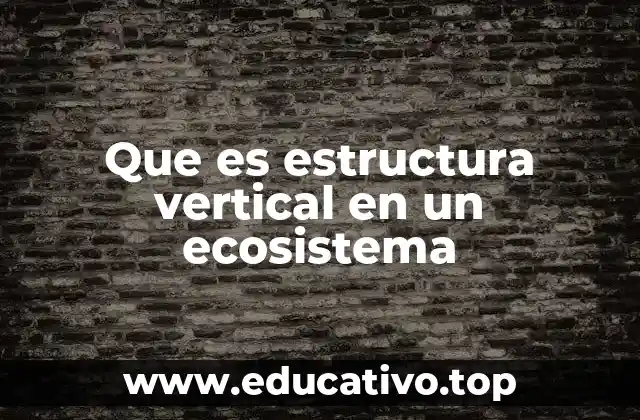 Que es estructura vertical en un ecosistema