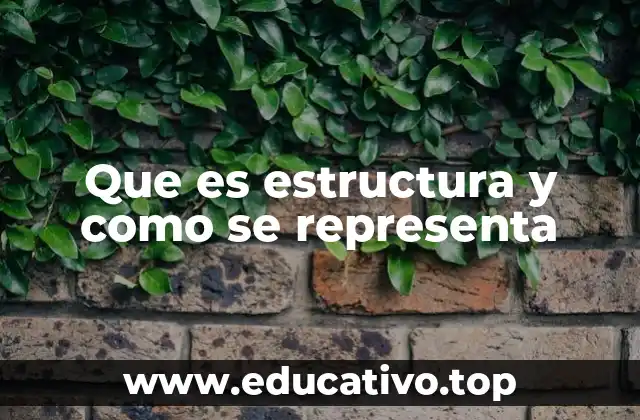 Que es estructura y como se representa