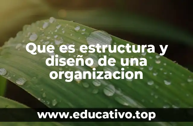 Que es estructura y diseño de una organizacion