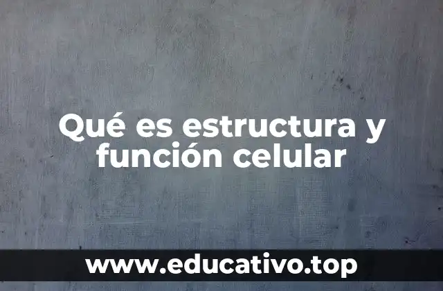 Qué es estructura y función celular