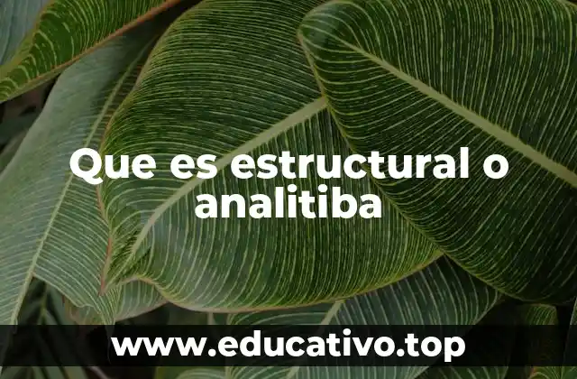 Que es estructural o analitiba