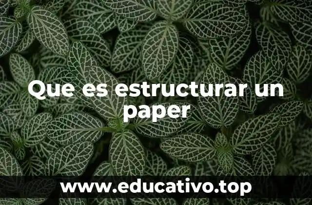Que es estructurar un paper