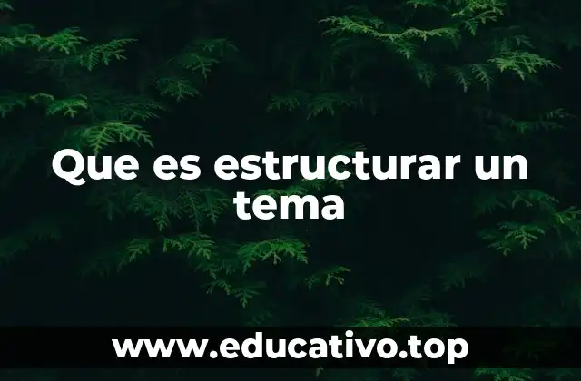 Que es estructurar un tema