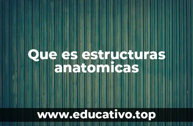 La importancia de comprender el cuerpo humano