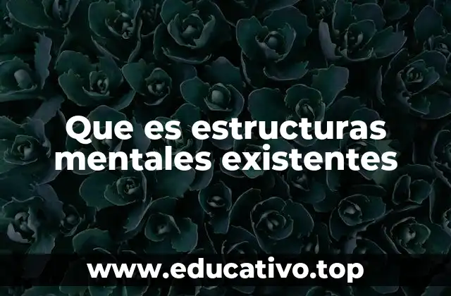 Que es estructuras mentales existentes