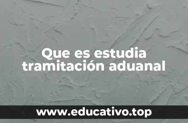 Que es estudia tramitación aduanal