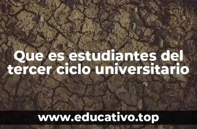 Que es estudiantes del tercer ciclo universitario