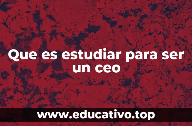 Que es estudiar para ser un ceo