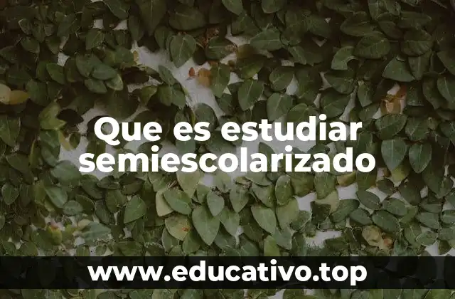 Que es estudiar semiescolarizado