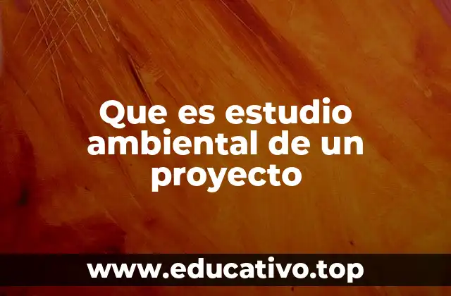 Que es estudio ambiental de un proyecto