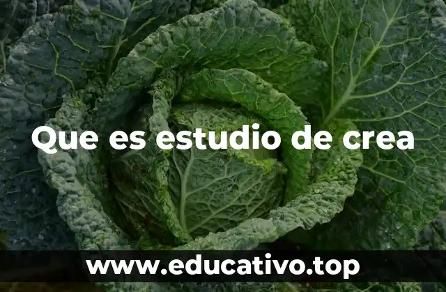 Que es estudio de crea