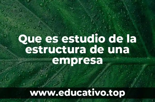 Que es estudio de la estructura de una empresa