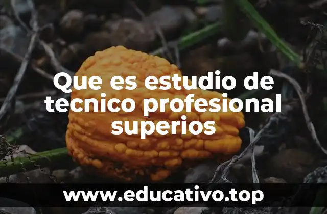 Que es estudio de tecnico profesional superios