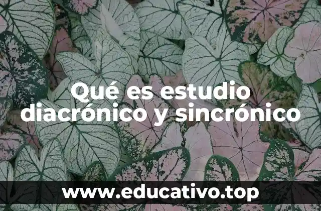 Qué es estudio diacrónico y sincrónico