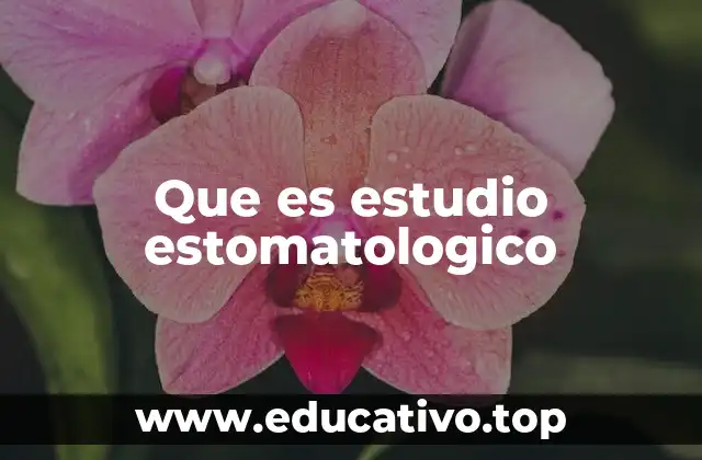 Que es estudio estomatologico