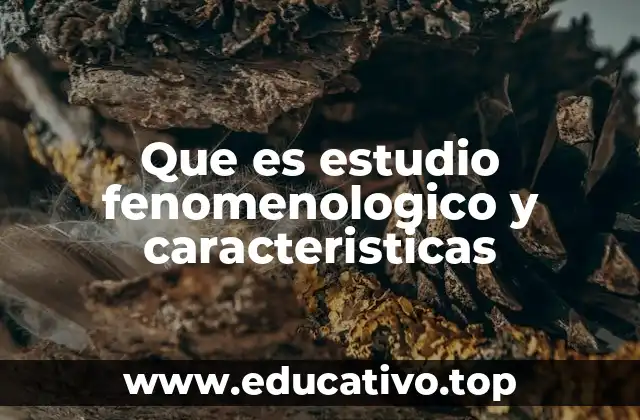 Que es estudio fenomenologico y caracteristicas