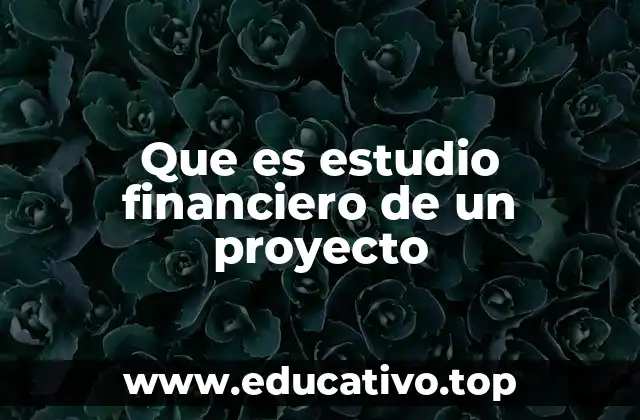 Que es estudio financiero de un proyecto